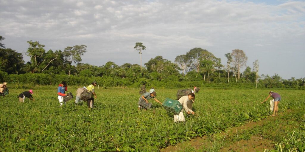 Agricultores receberão incentivo para recuperar áreas degradadas