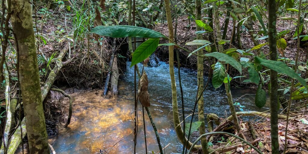Inscrições para bolsa de estudos na área de agroecologia vão até sexta
