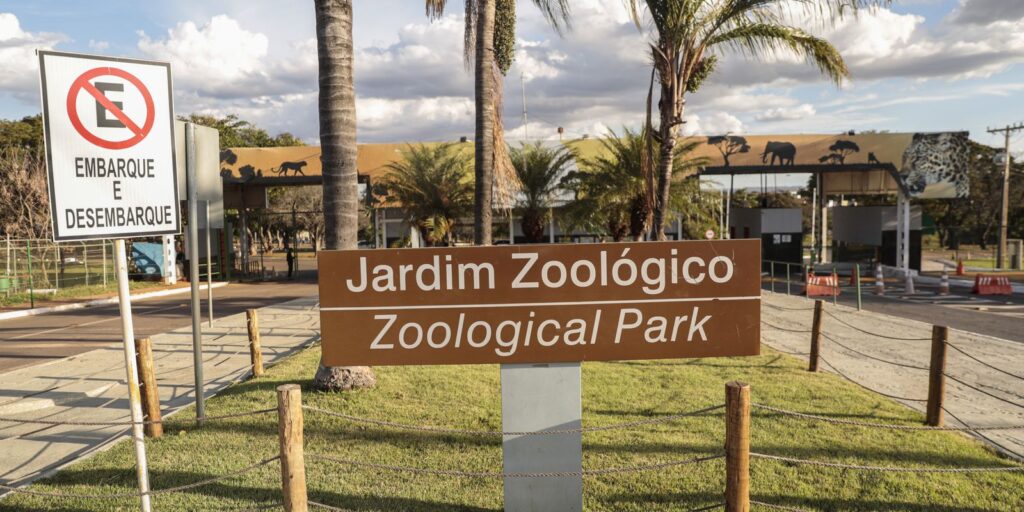 Jardim Zoológico de Brasília é fechado por suspeita de gripe aviária