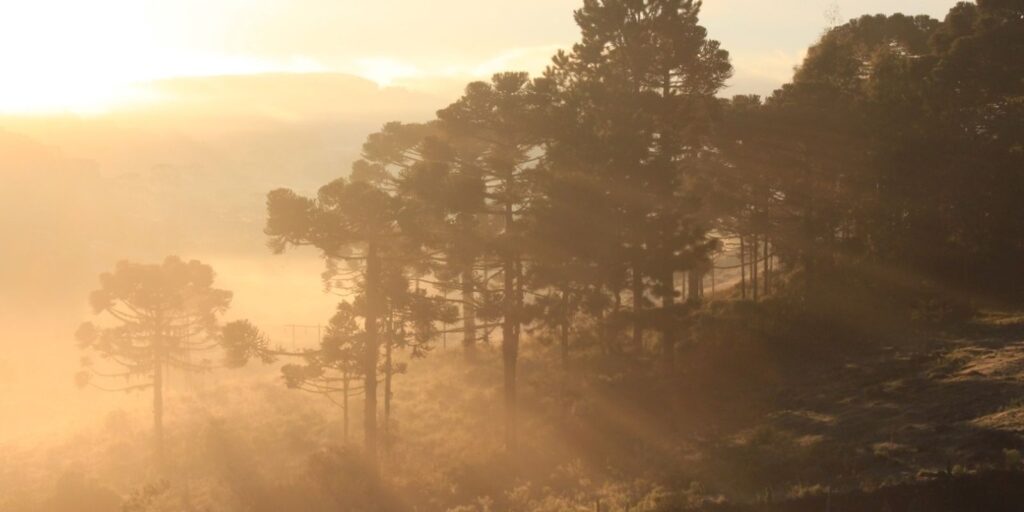 Primeira onda de frio de 2025 chega ao Brasil a partir de hoje (27)