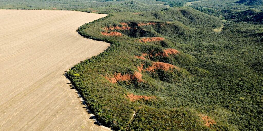 Senado aprova flexibilização do licenciamento ambiental