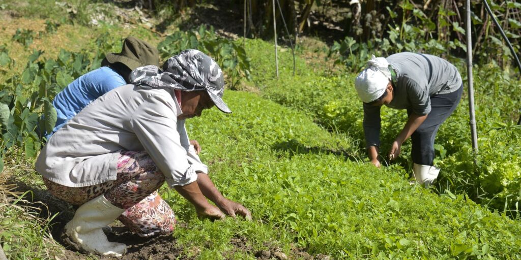 Maranhão vai entregar títulos de terra para trabalhadoras rurais