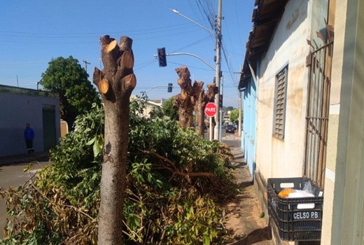 PMA reitera alerta contra podas drásticas de árvores em Cassilândia